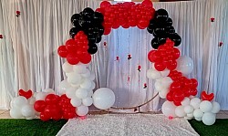 Backdrop Set ups