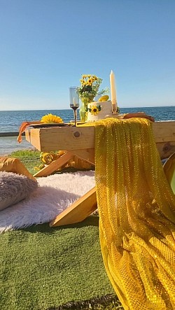 Picnic set ups