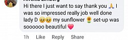 Client review