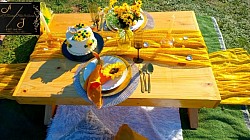 Picnic table setting