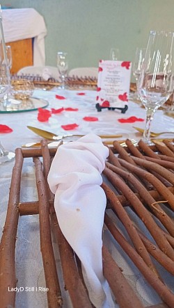 Valentine Gala