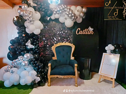 Black Shimmer Butterly Matric Backdrop